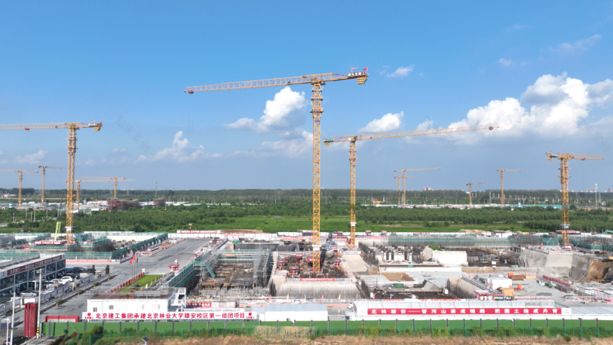北京林业大学雄安校区建设项目-33