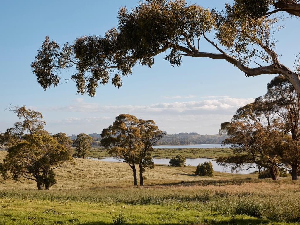湖景别墅（注：House一般指独立式住宅，别墅较为贴合，若具体情境中更强调普通房屋，也可译为湖景房屋 ，但按照常规理解这里用湖景别墅更合适） 丨Arent&Pyke-31