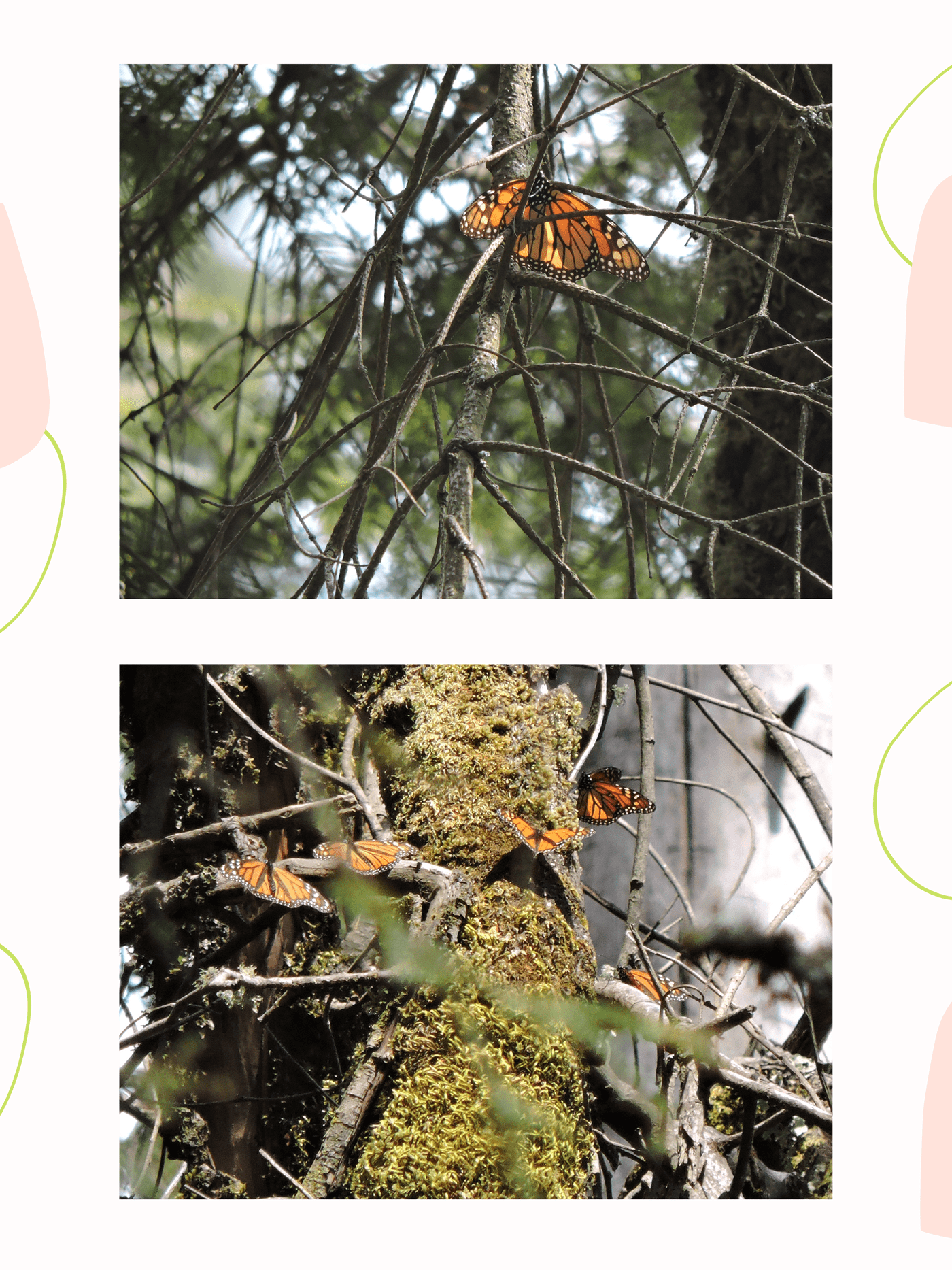 Portafolio | Fotografía-4