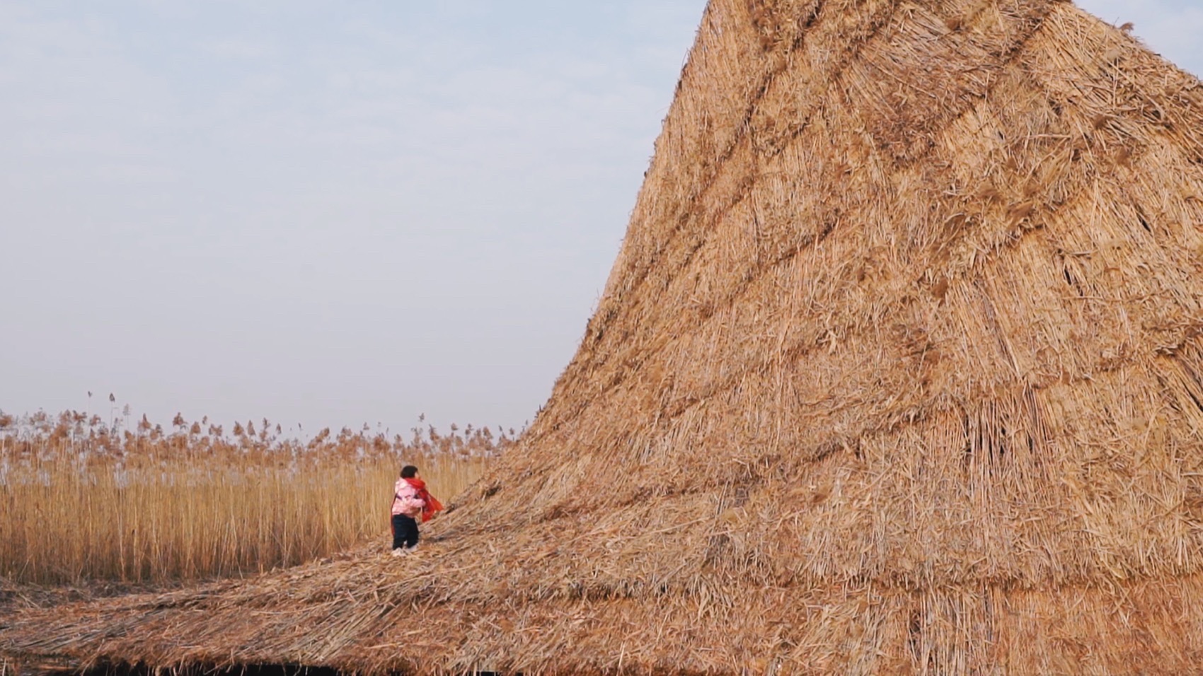 疗愈之“山”丨中国岳阳丨杜扬工作室-34
