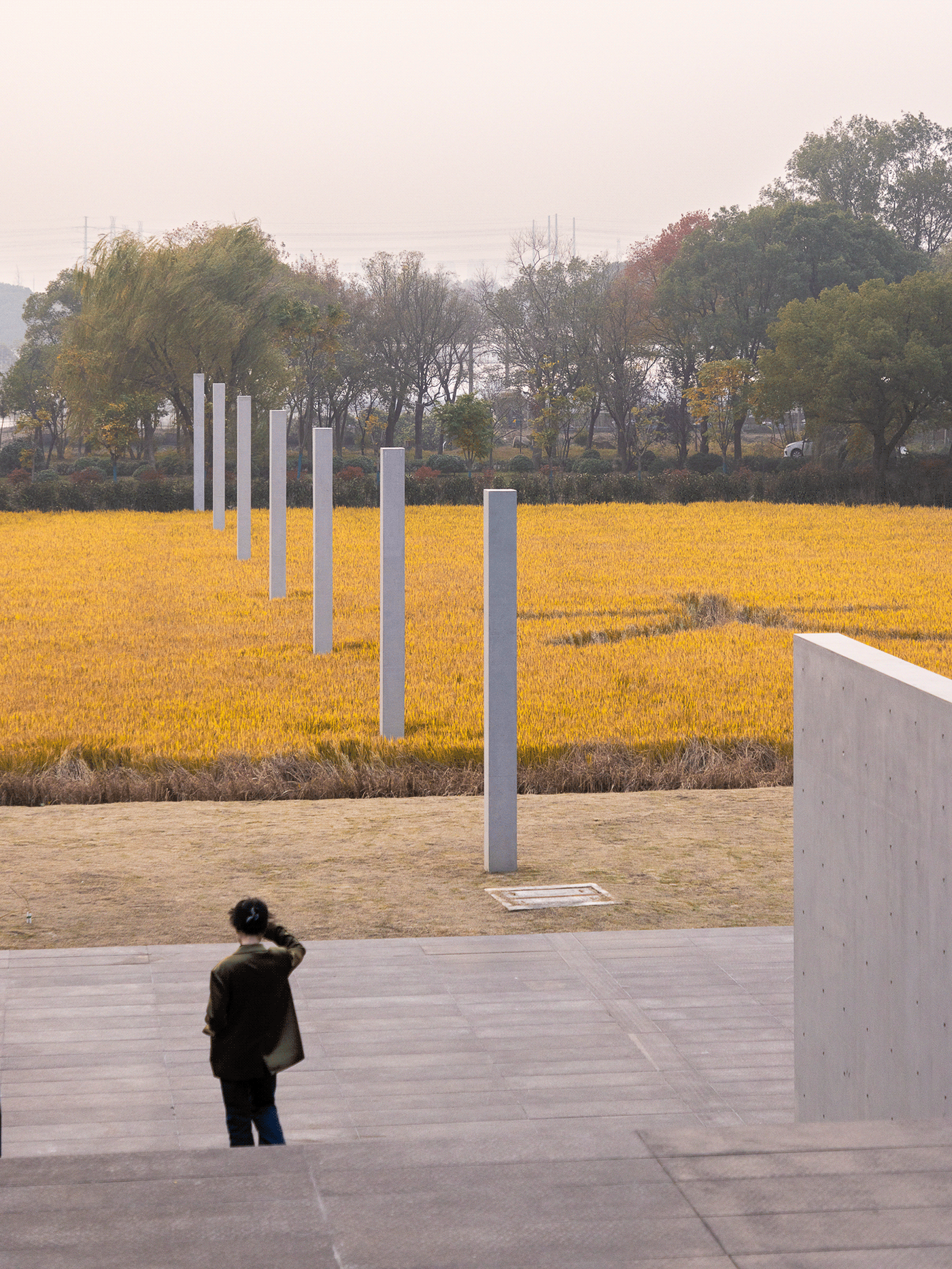 嘉源海美术馆丨中国上海丨Tadao Ando-30