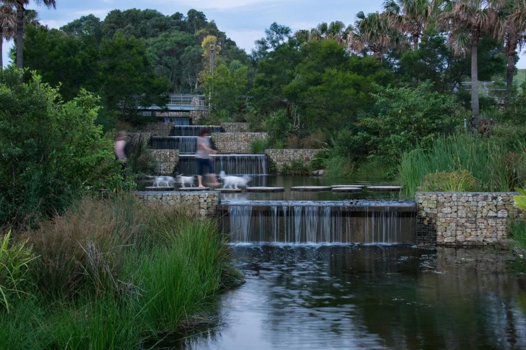 悉尼公园丨澳大利亚丨Turf Design Studio-40