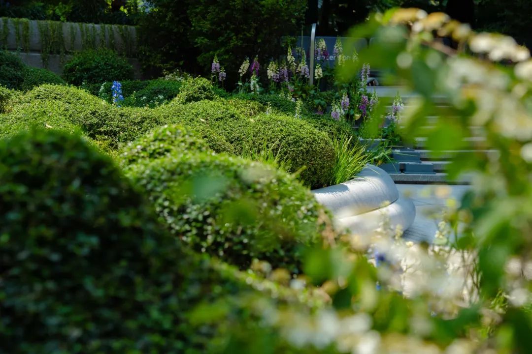 扎哈事务所花园 · The Henderson 艺术花园丨中国香港丨扎哈·哈迪德建筑事务所,Gillespies景观设计工作室-12