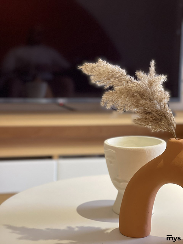 炽热色彩·艾因苏赫纳丨MYS Architects-33