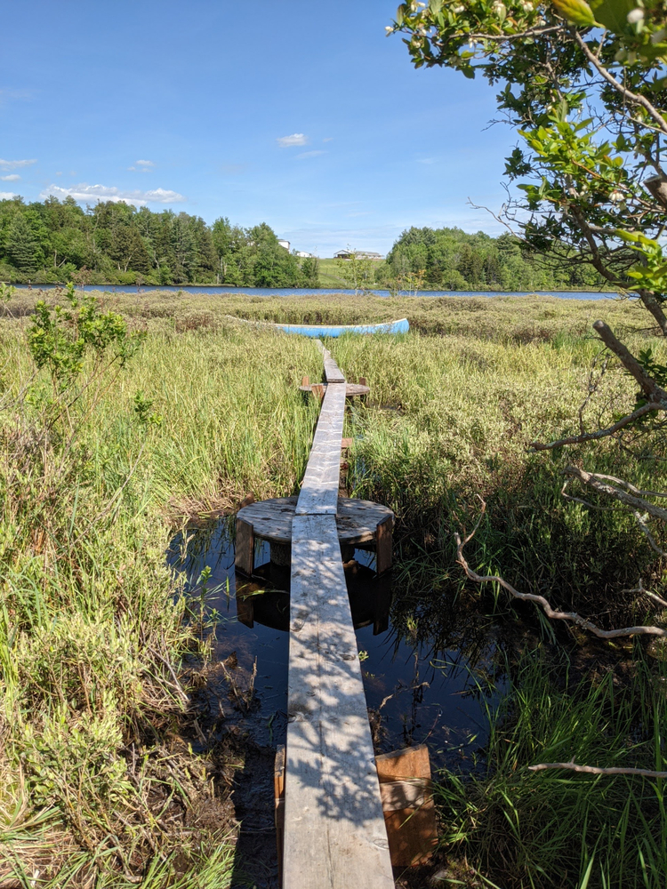 Cranberry Pond House · 生物亲和型住宅丨美国丨Bryce de Reynier-23