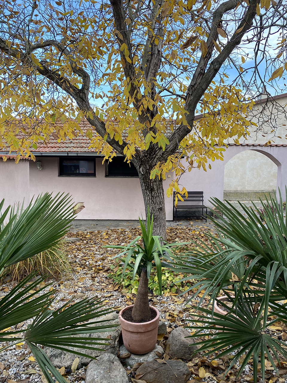 老宅的再次翻修,斯洛伐克丨Kilo,Honč-81