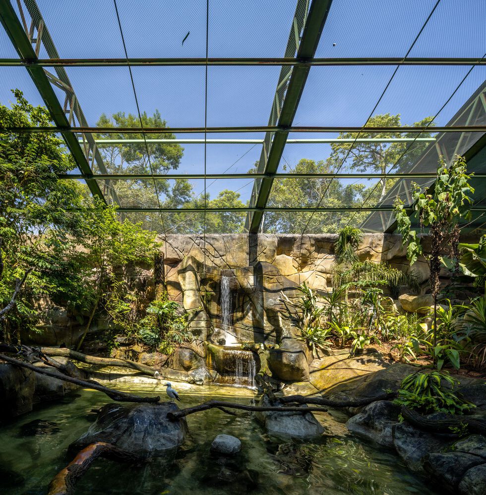 沉浸式动物园设计丨巴西圣保罗丨Alessandro Malara-49