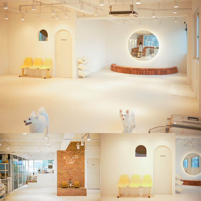 现代简约设计，50 平米公寓的惊艳变身-1