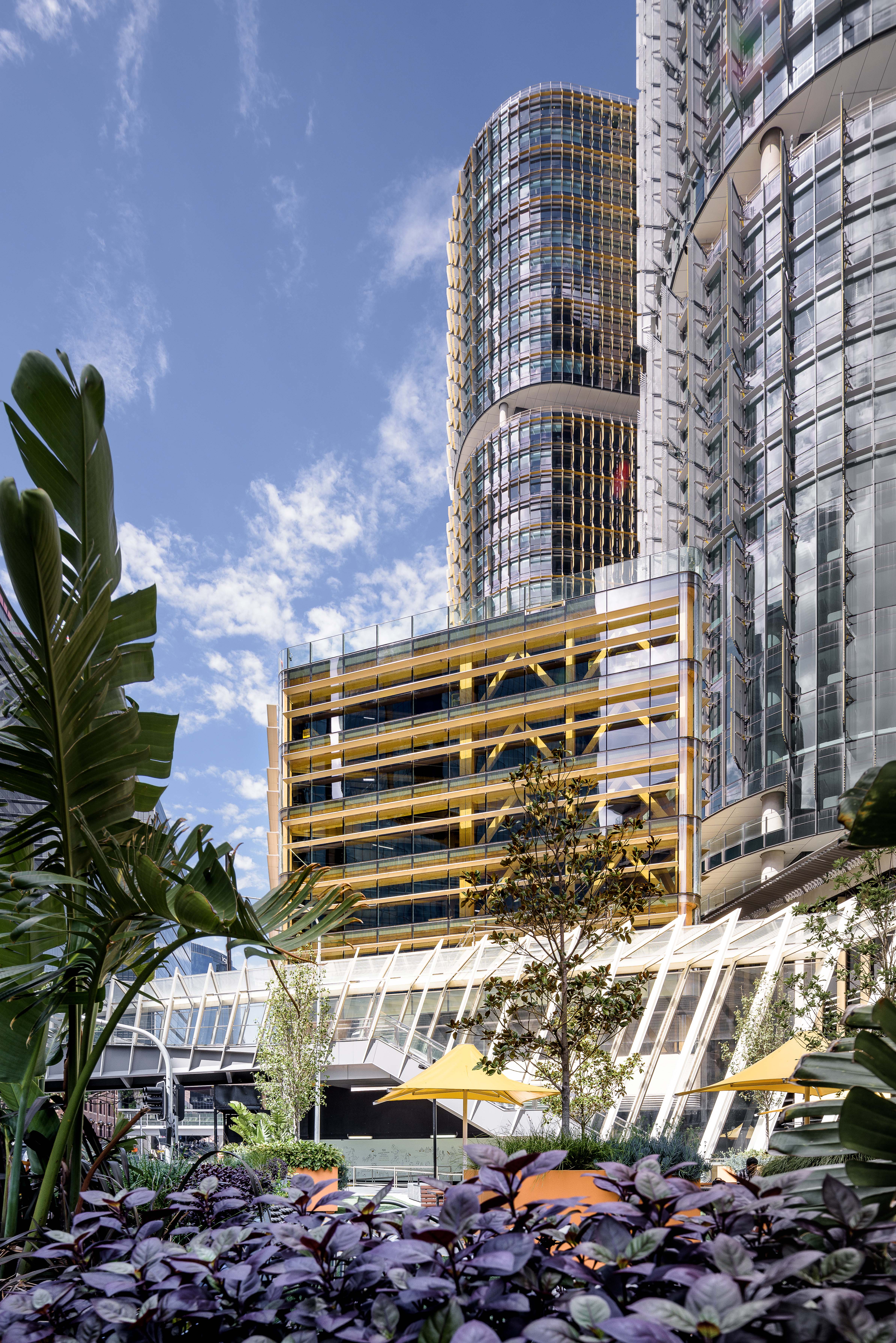 悉尼国际大厦-14