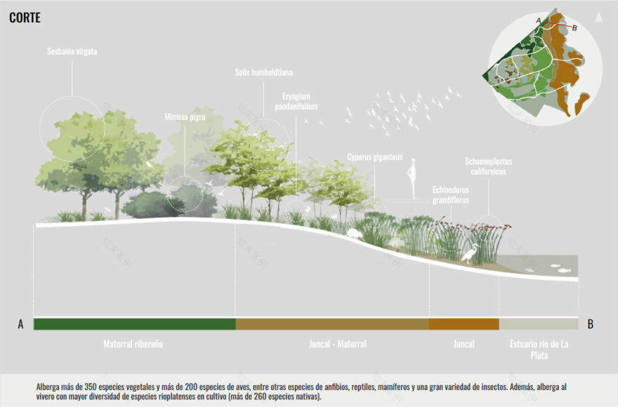 Reserva Ecológica Urbana(城市生态保护区)丨Meta Paisaje教席团队(Vanesa Salas等)-10