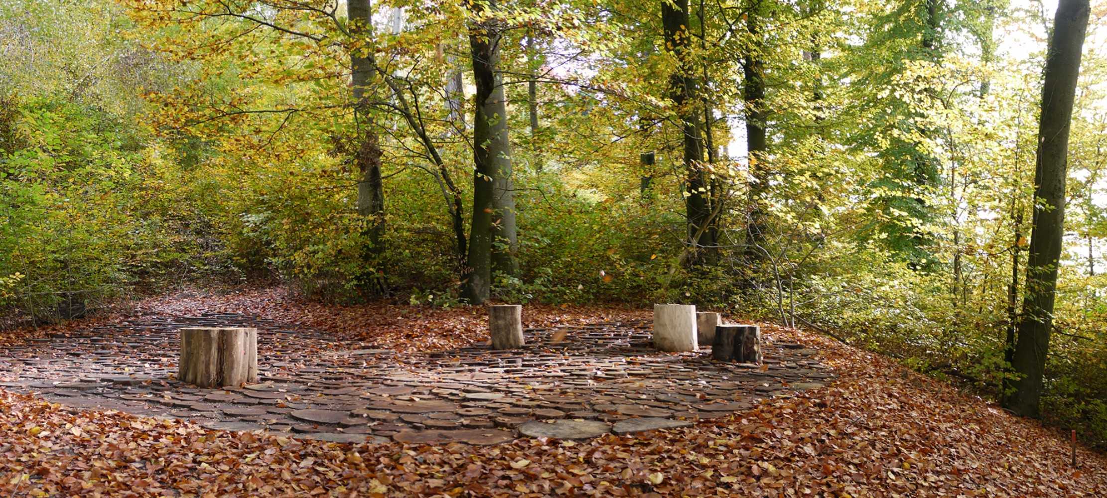 乌斯特市 Wildwood 自然林地广场 | 景观与功能的完美融合-7