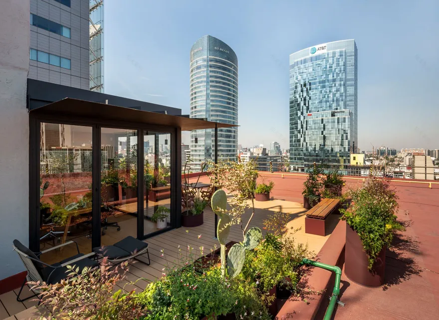 墨西哥城繁忙大道上的空中办公室改造-33