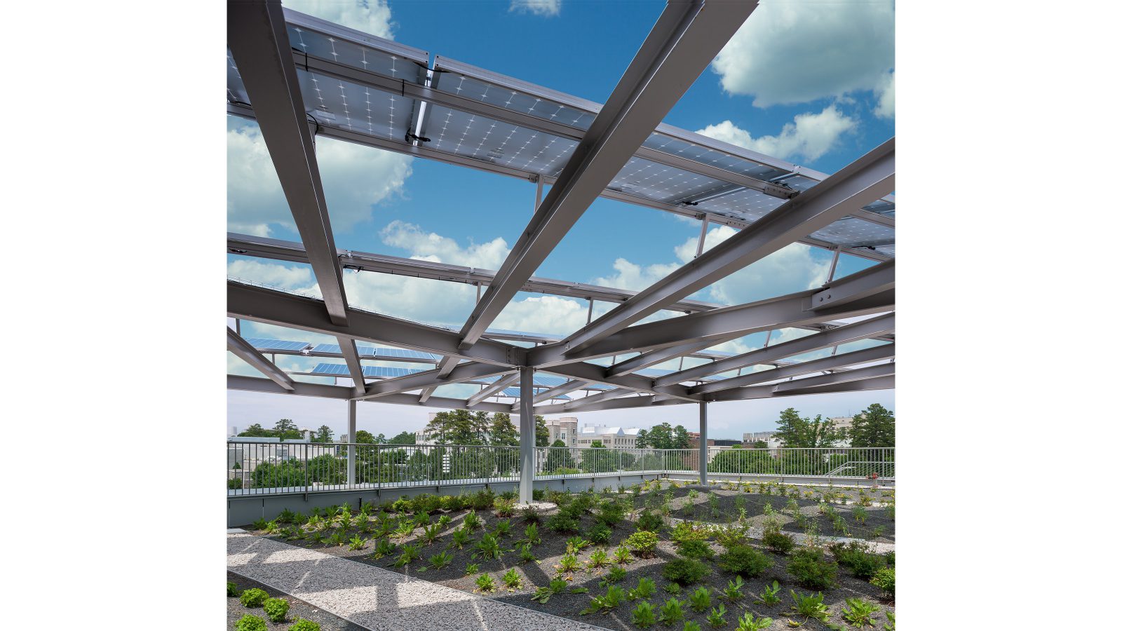 Sustainable Campus Lantern-11