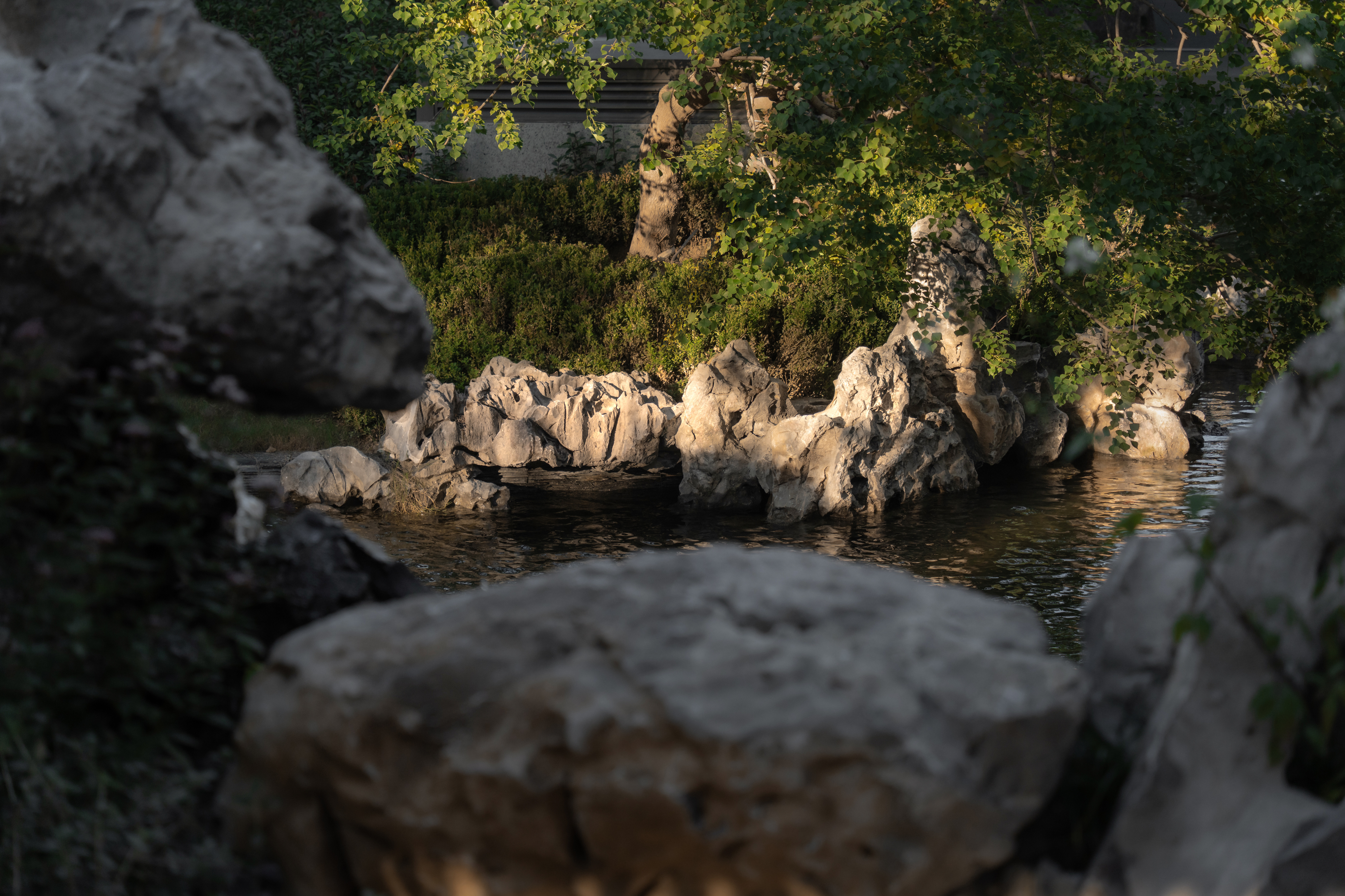 新东升福园南区丨中国淄博丨致澜景观-52