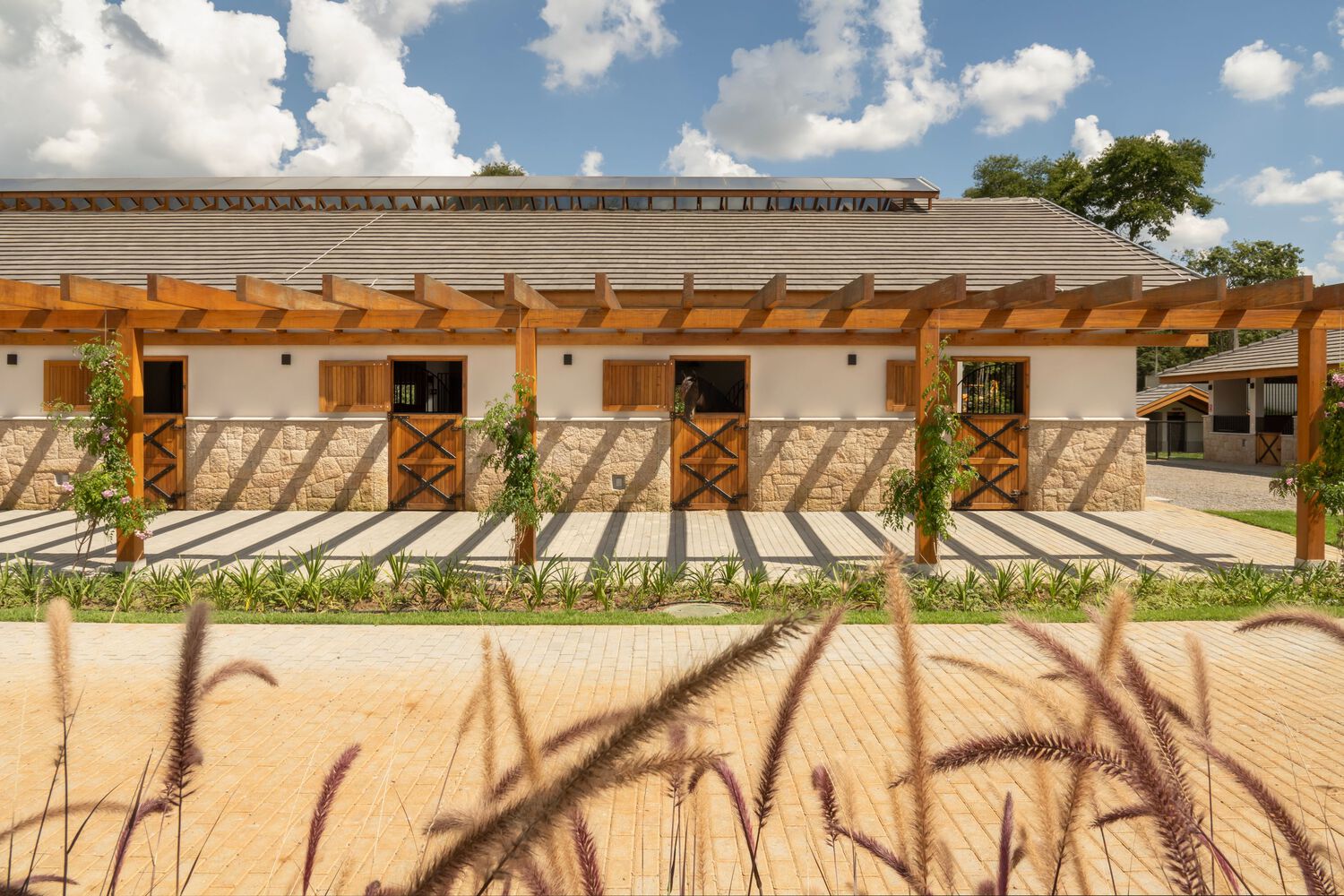 巴西 Haras DOM 马术的家庭提供服务站丨佩尔·卡瓦利·阿尔奎特图拉-17