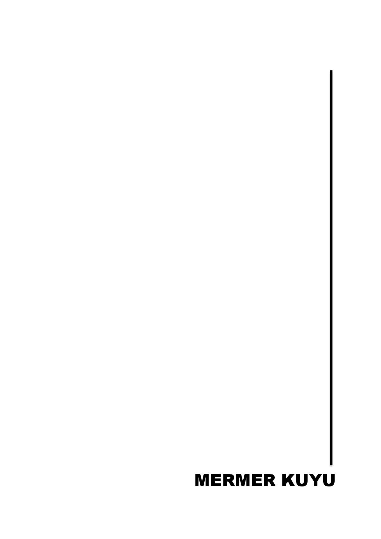 卡米卡高中历史墙保护-69