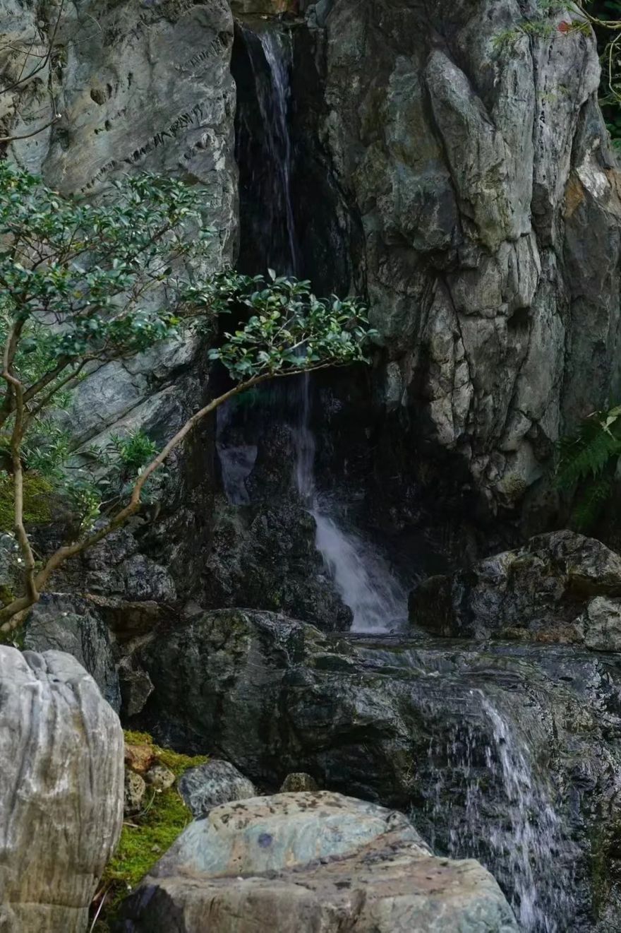 杭州自然美景工作室丨中国杭州丨余伟增,柴荣-109