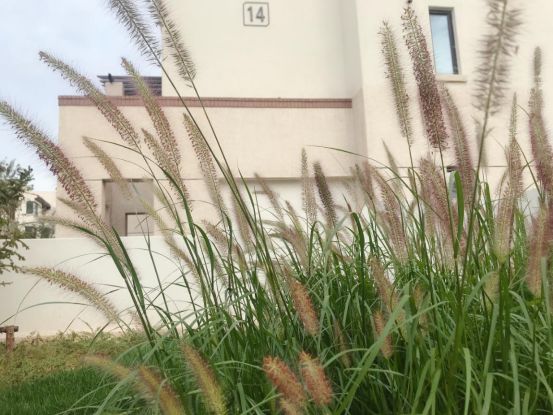 阿那亚D4项目-39