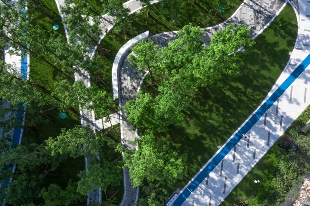 万科 17 英里 | 星空下的乐园生活-52