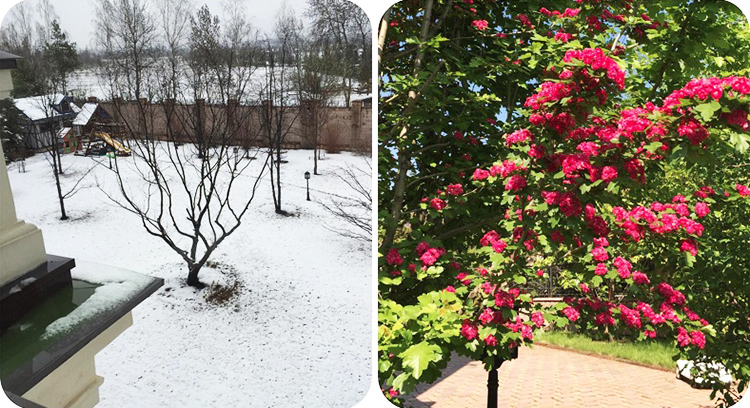 瓦尔迪斯·佩尔什住宅丨拉脱维亚里加丨瓦尔迪斯·佩尔什妻子(自学成才的设计师)-11