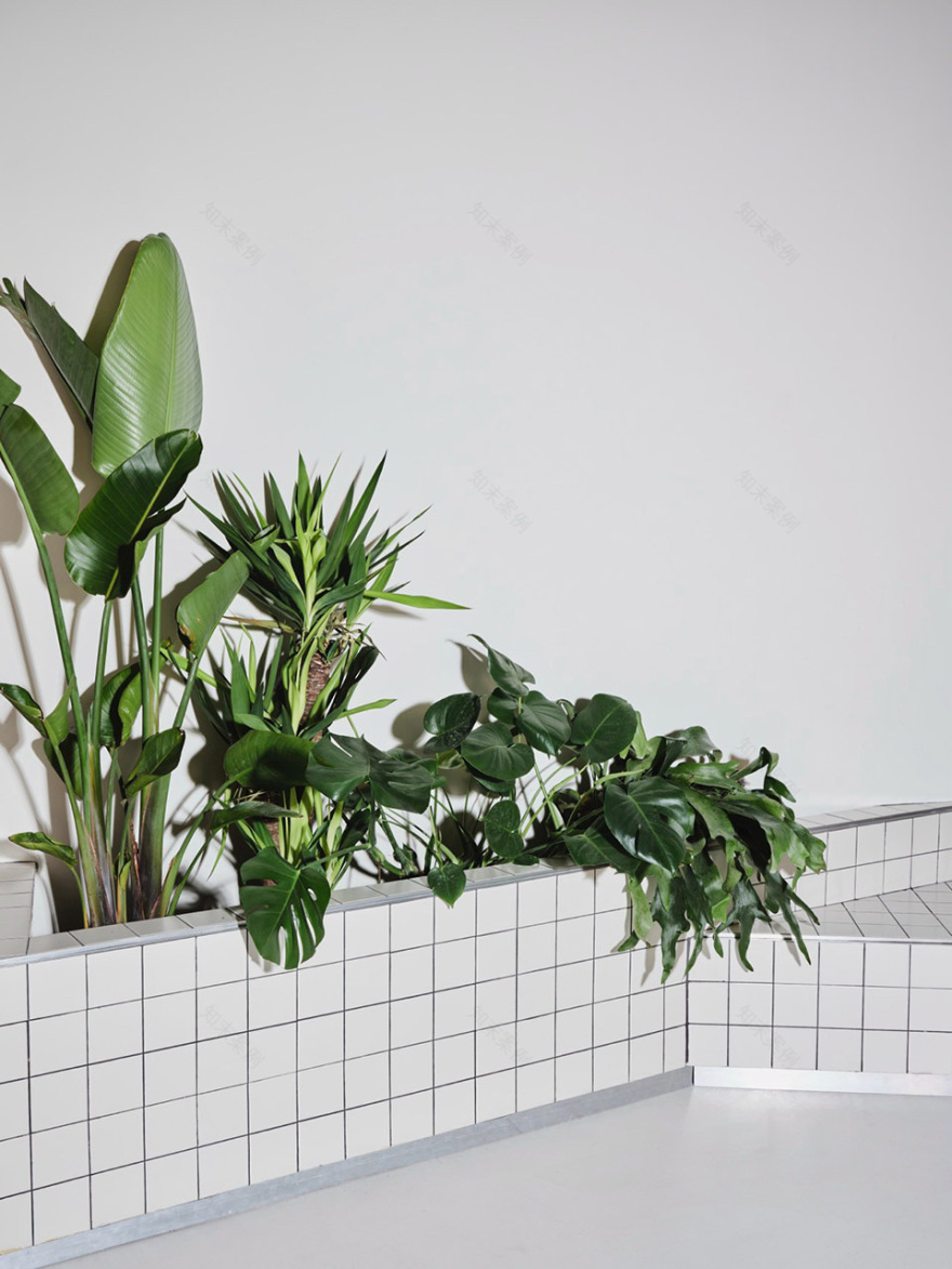 Sornells 21共享工作空间丨西班牙丨T.O.T Studio + Paloma Bau Estudio-78