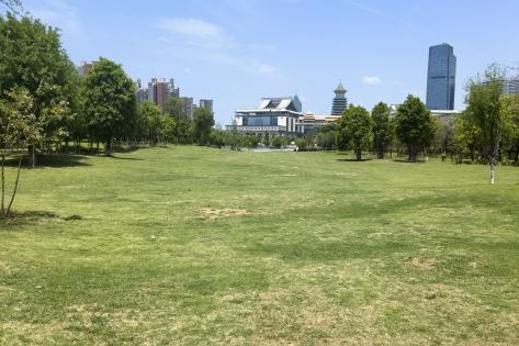 桂林新区山水公园海绵化提升改造工程竣工验收-22