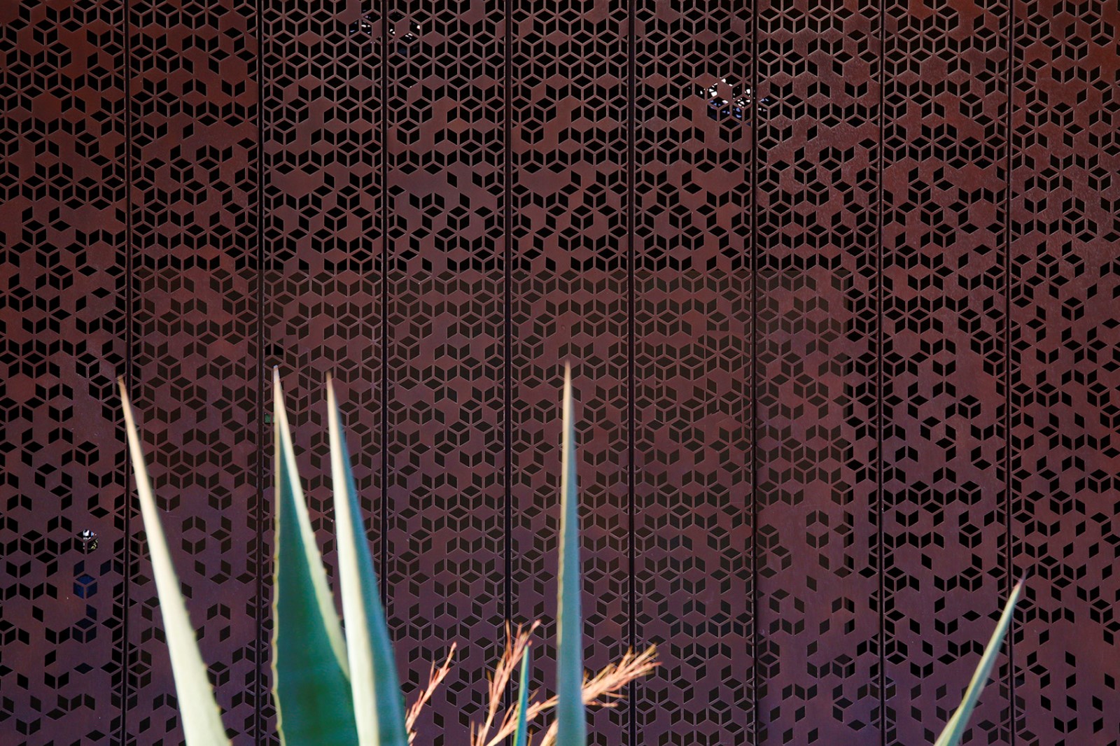 Ayla高尔夫学院和俱乐部-9