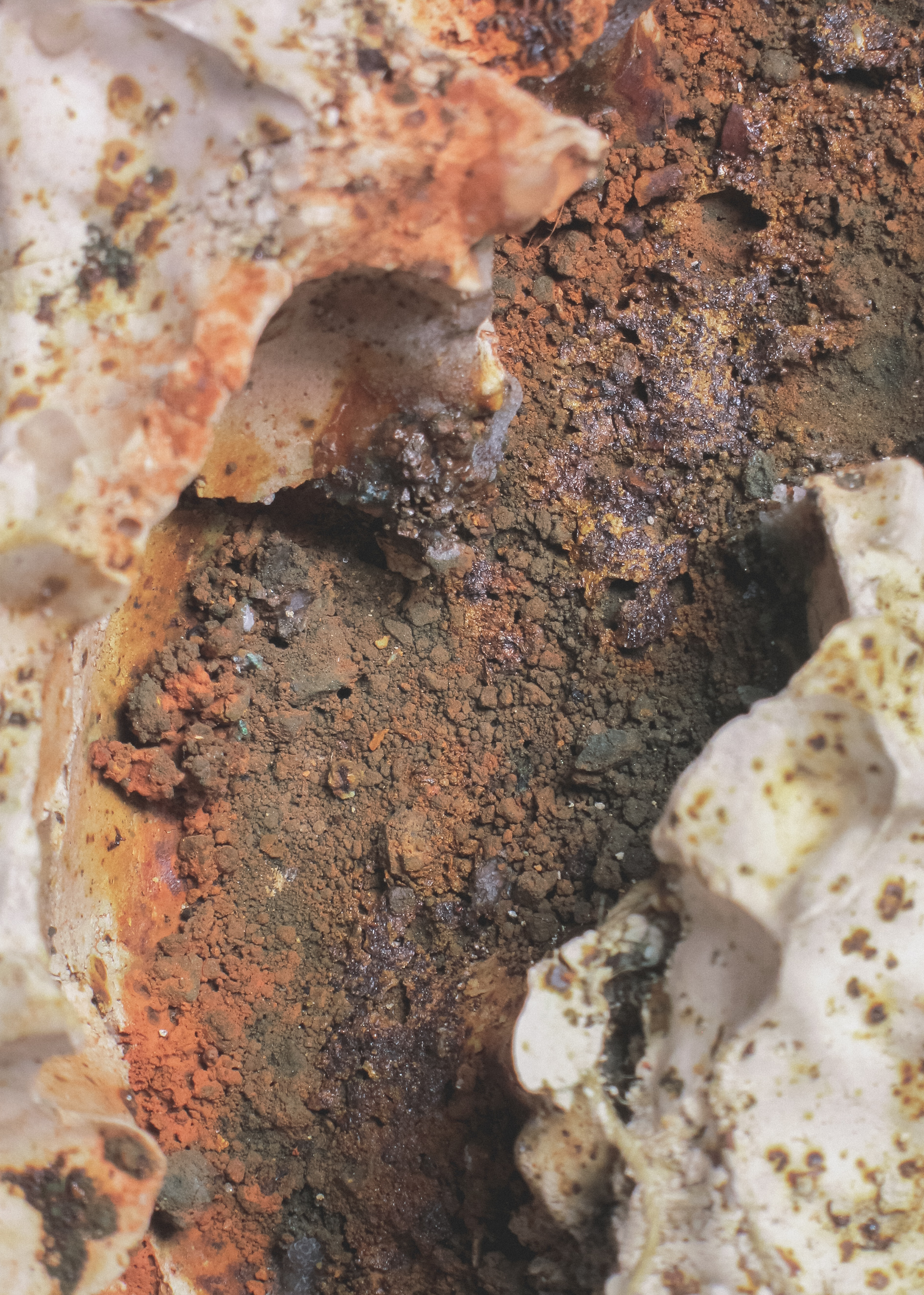 地形，生命形态丨未明确提及-11