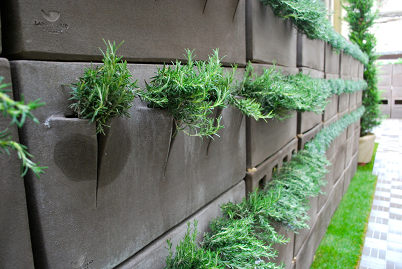 Orto Fabbrica di Angelo Grassi | theouterthebetter-20