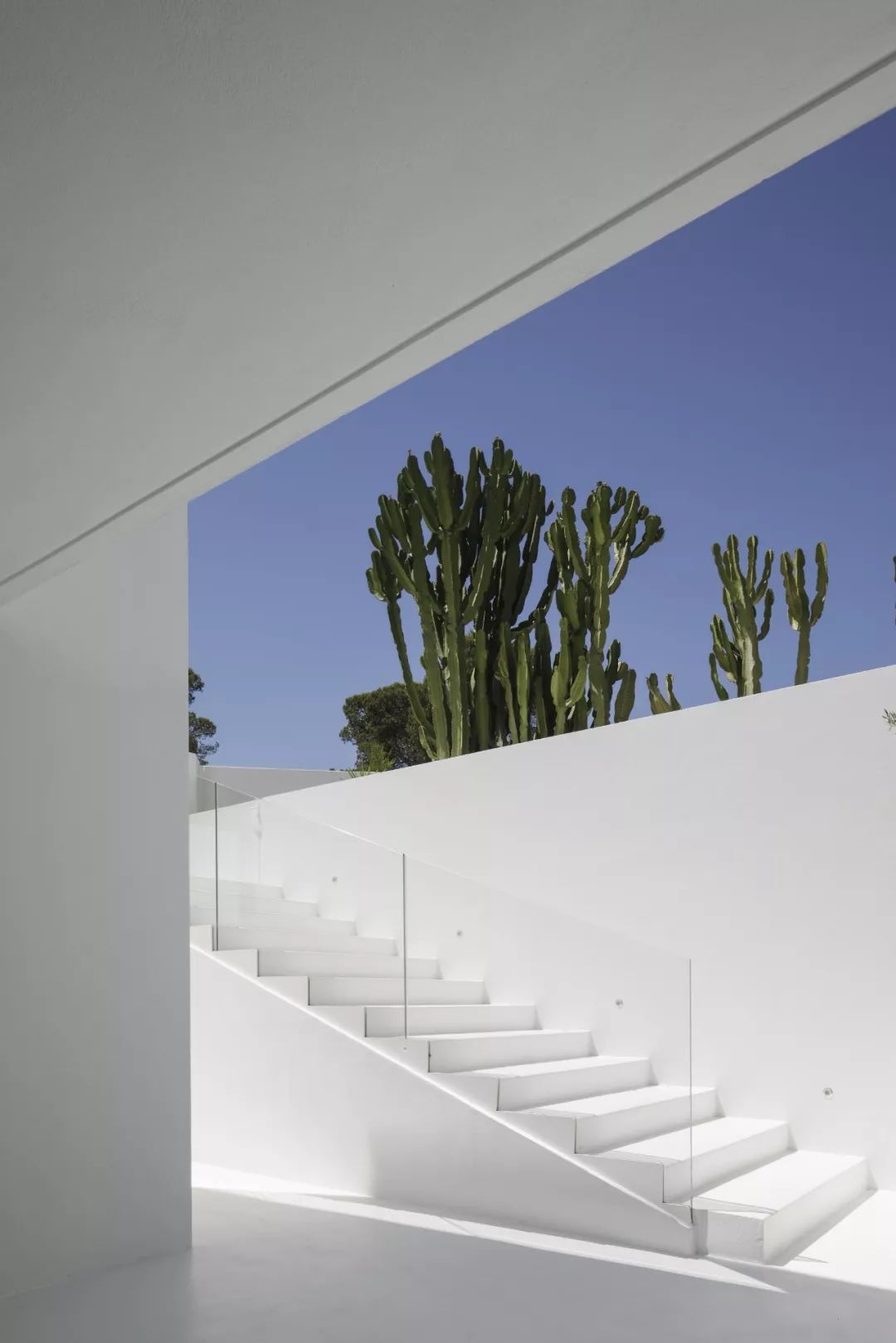 地中海风情的 Villa Mediterraneo | 几何结构与自然景观的完美融合-12