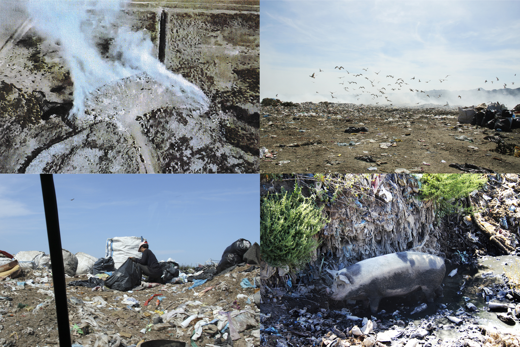 都拉斯生态公园丨Albania丨Casanova + Hernandez Architects-28