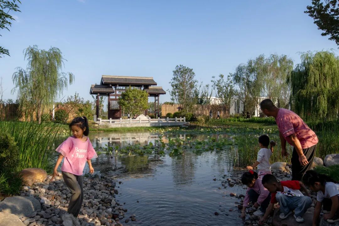 喜讯| 笛东荣获2025-2026年度河北省园林优秀设计一等奖-9