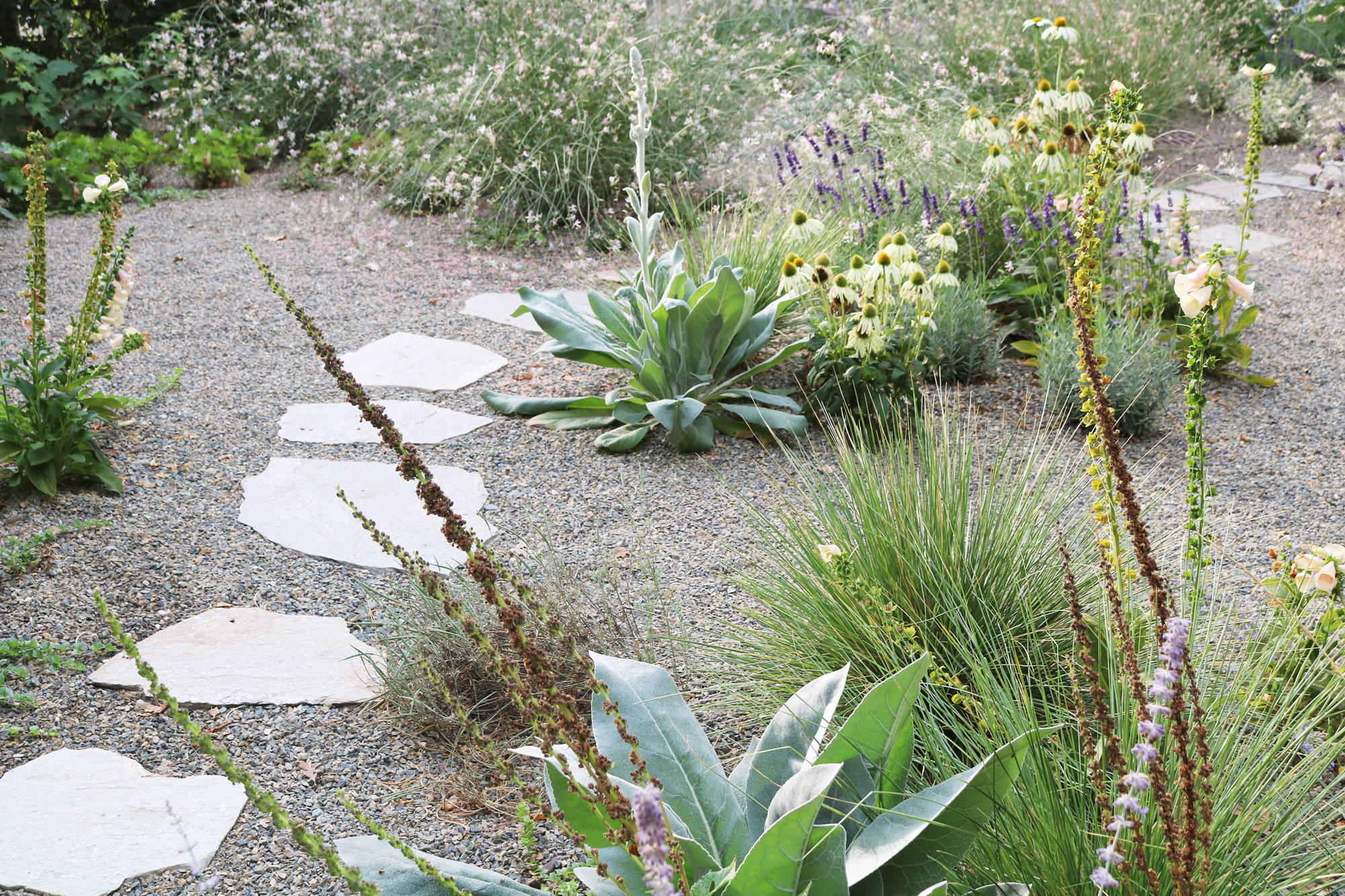 身边风景 | Soft Studio-122