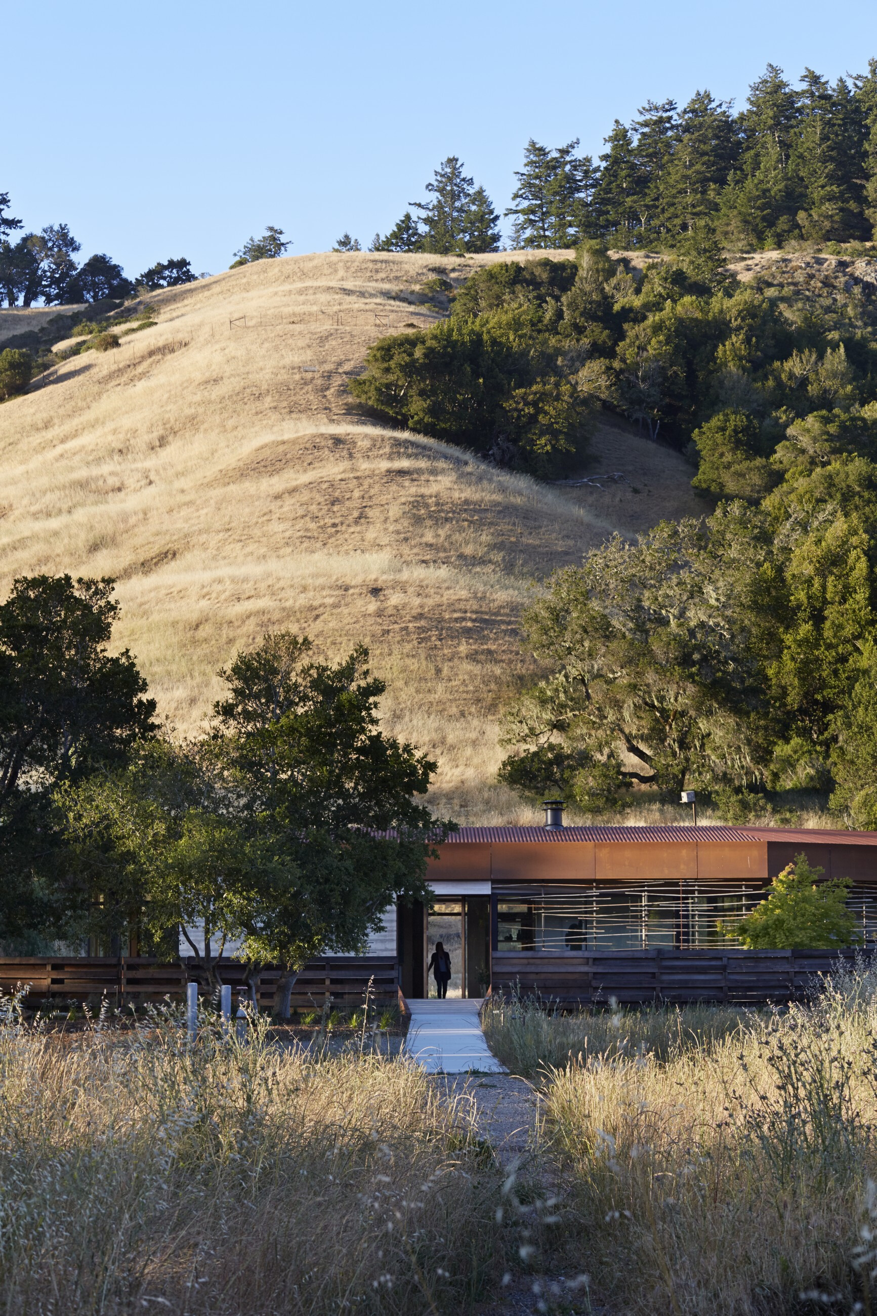 Crook Cup Bow Twist（曲木之魂）住宅设计-22
