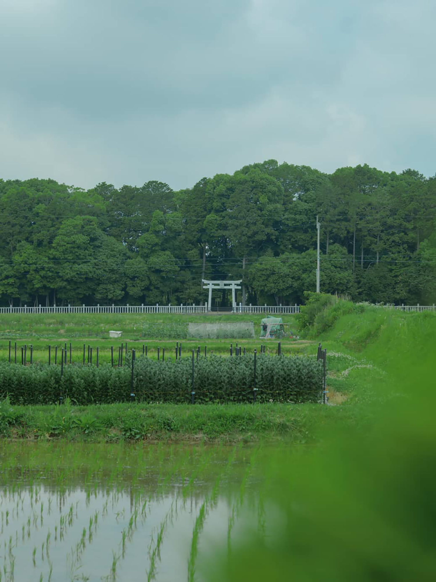 SHINPAKU·民宿丨日本丨Hitotomori建筑设计事务所-57
