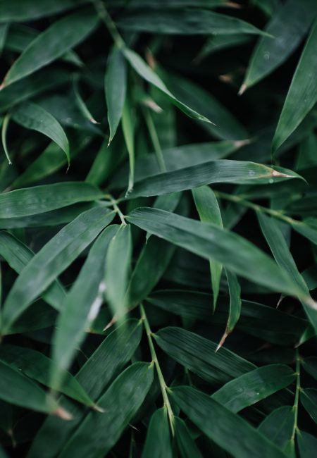 赫斯基森项目 GNK景观设计公司(这里GNK为特定名称,若无更多背景难以更精准翻译,推测一般为专业领域的公司名称,Landscapes可理解为景观设计公司等相关含义) -32