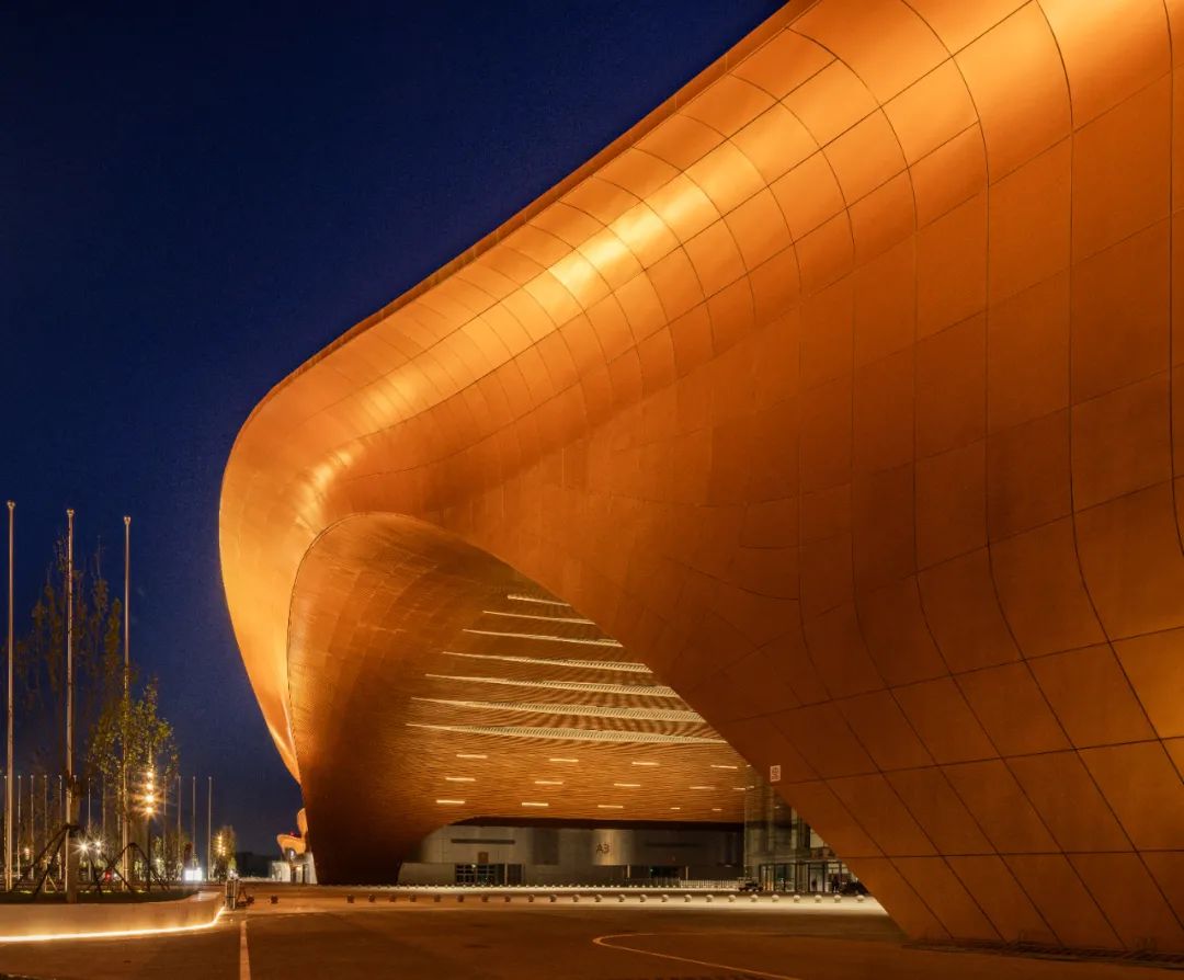 信息的纽带大地的图景|北京新国展二期建筑照明设计-86