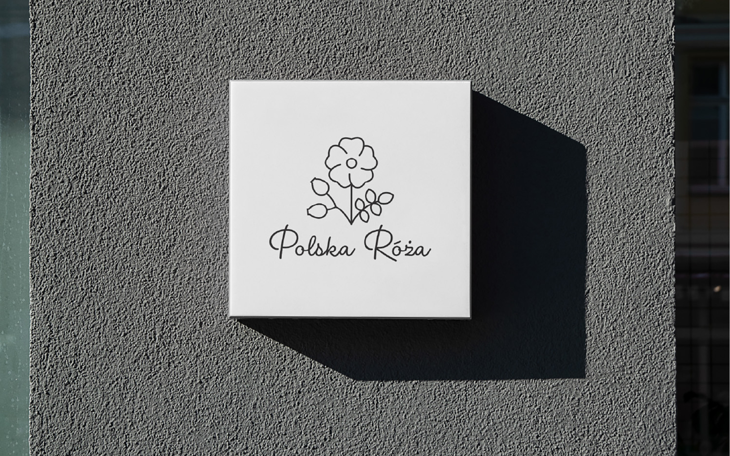 Rose lemonades - Visual Identity Redesign-2