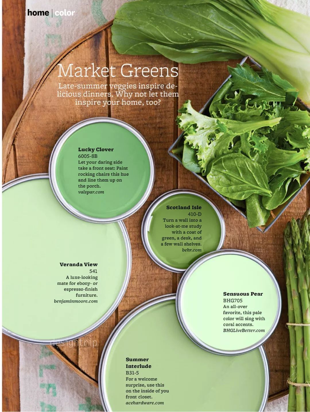 [色彩分享]最美的配色，来自于的大自然！-59