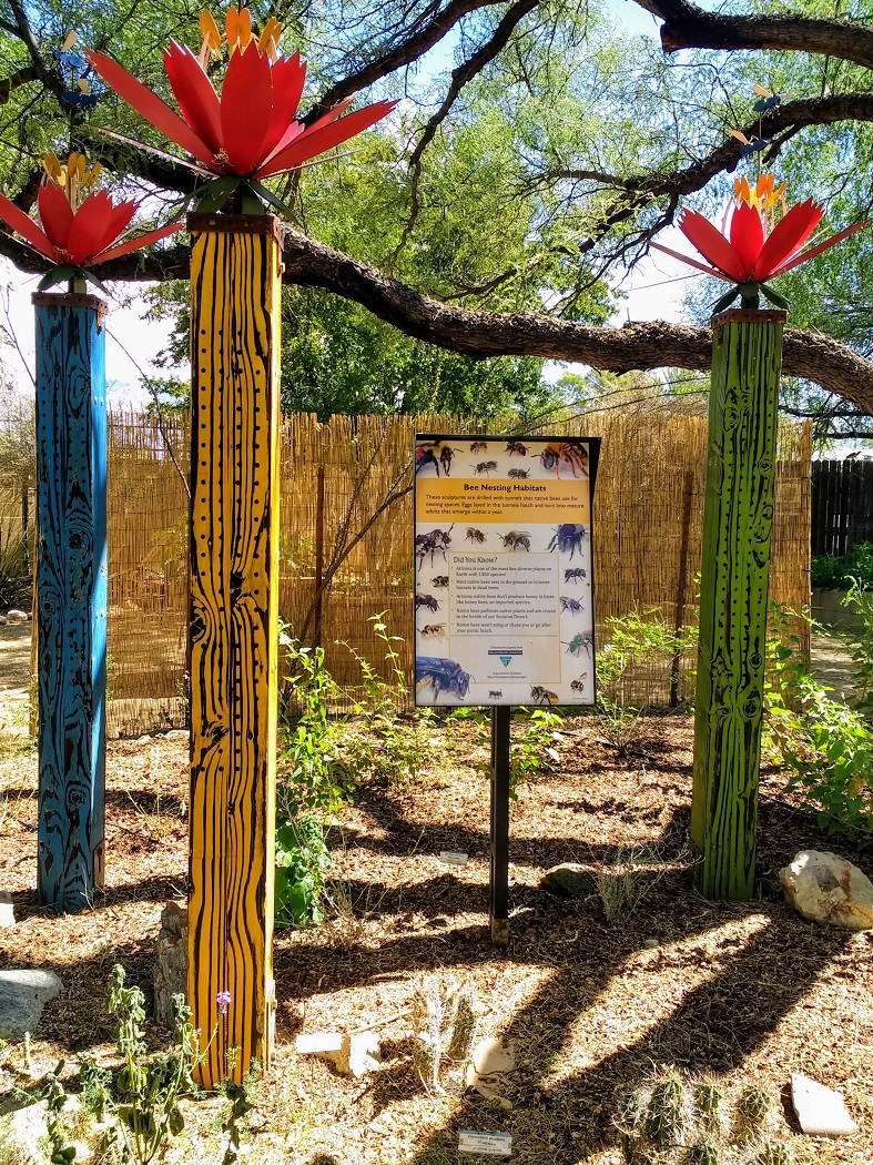 图森植物园（Tucson Botanical Garden）丨美国图森-7