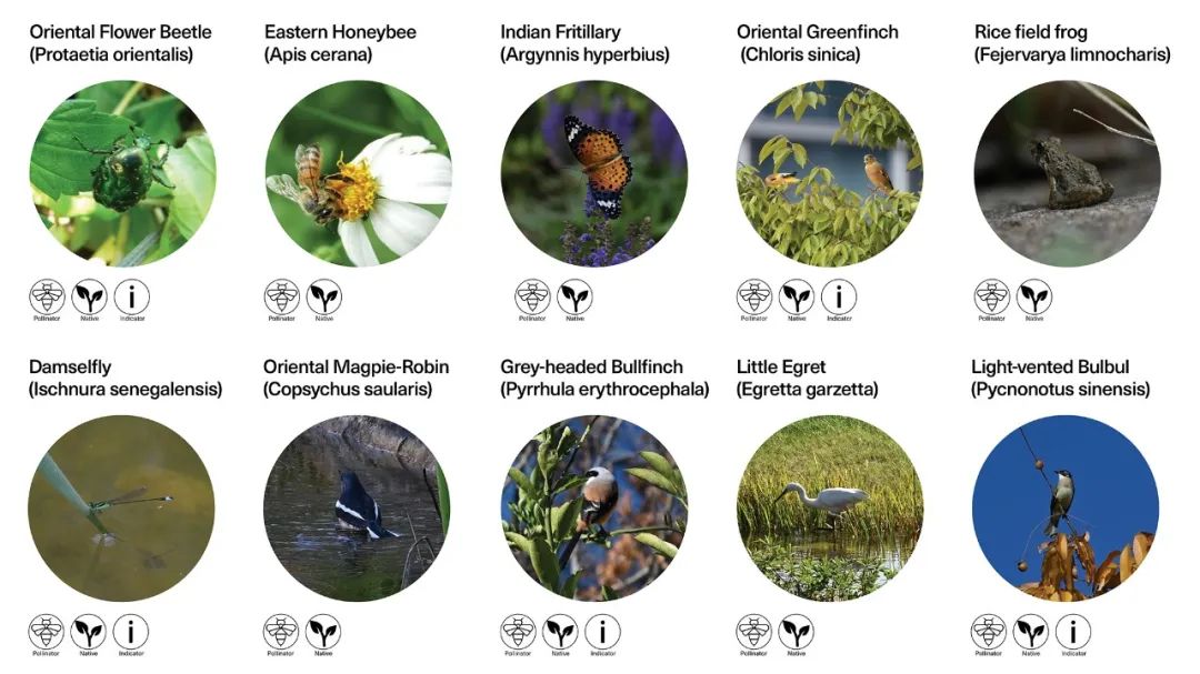 阿里巴巴西溪全球总部园区（C区）丨中国杭州丨ASPECT Studios-14