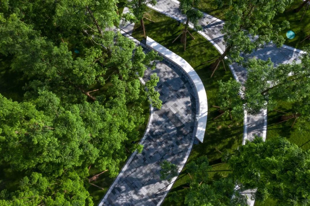 万科 17 英里 | 星空下的乐园生活-58