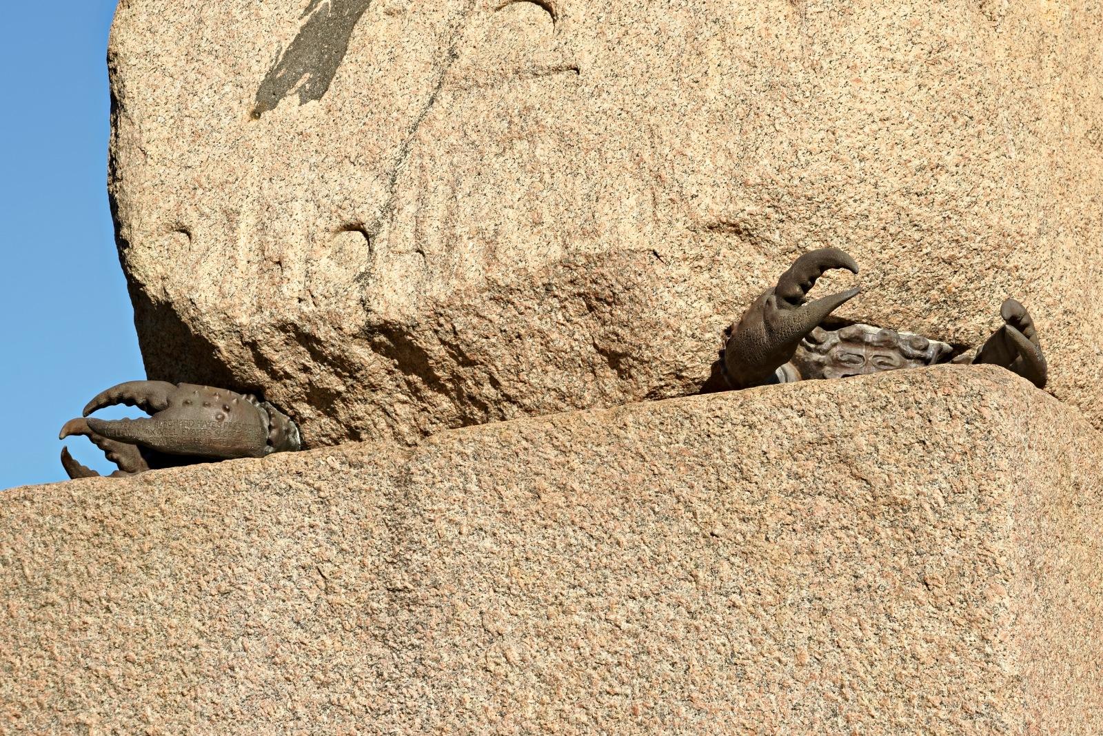 纽约中央公园的克利奥帕特拉方尖碑安置项目丨美国纽约-36