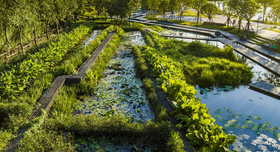 美舍河凤翔公园-17