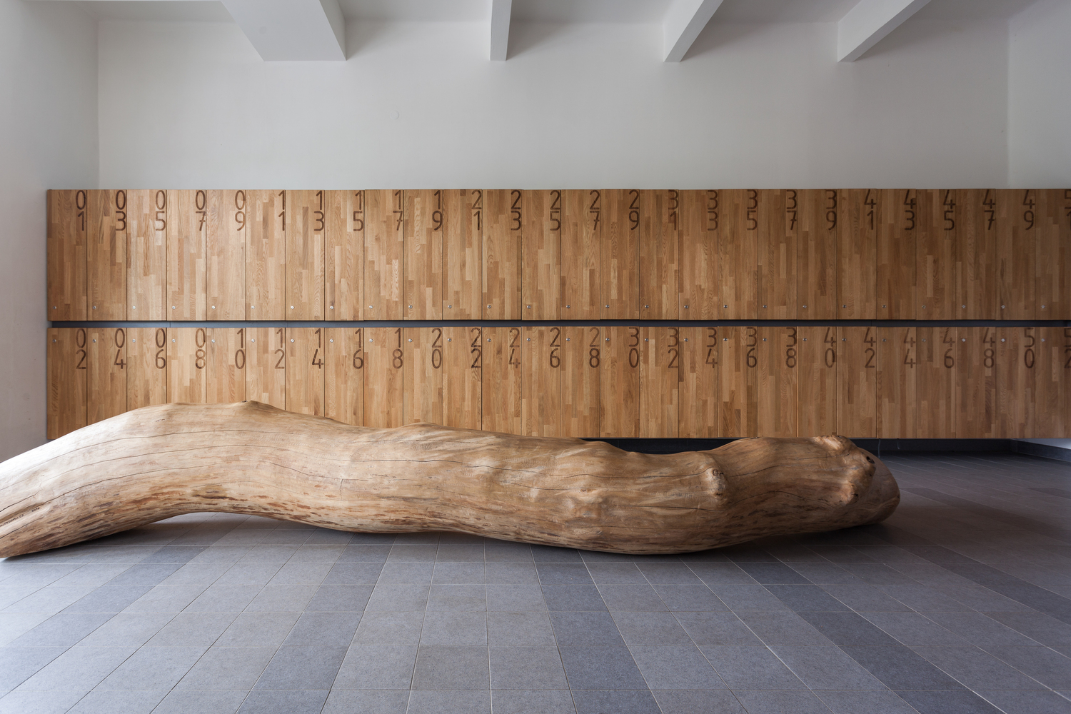 趣味空间 · Jara Cimrman School 的创意设计-20