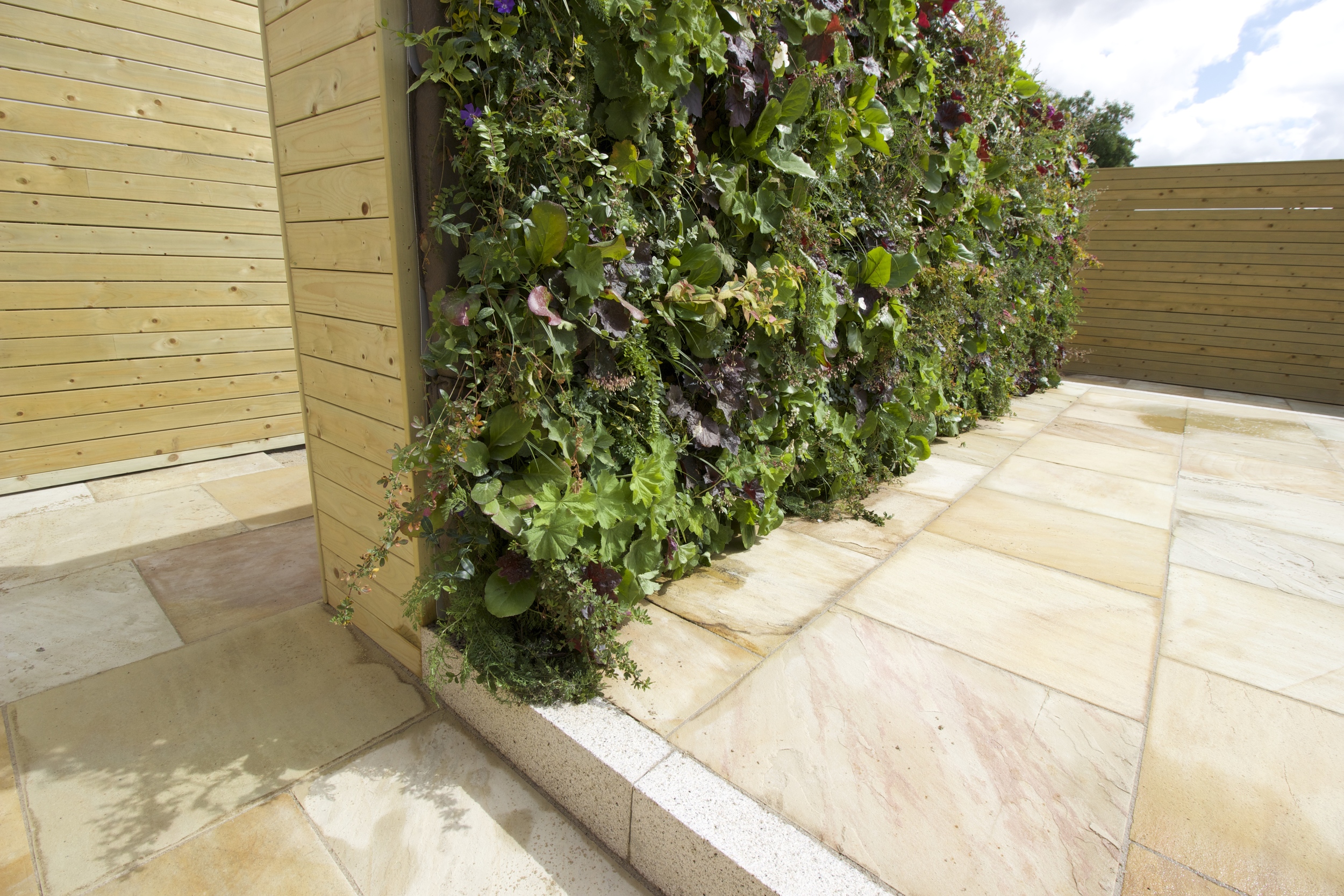 垂直绿墙花园丨爱尔兰都柏林-36