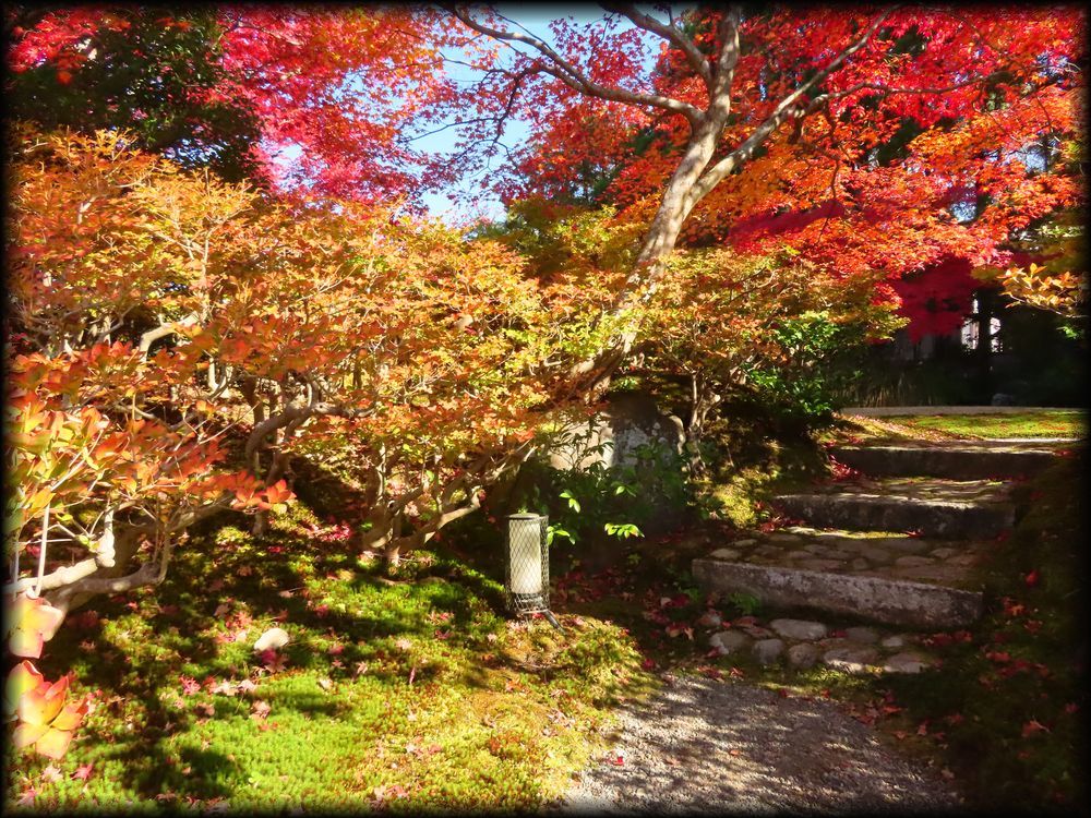 对龙山庄庭园丨日本京都丨七代目小川治兵衛-37