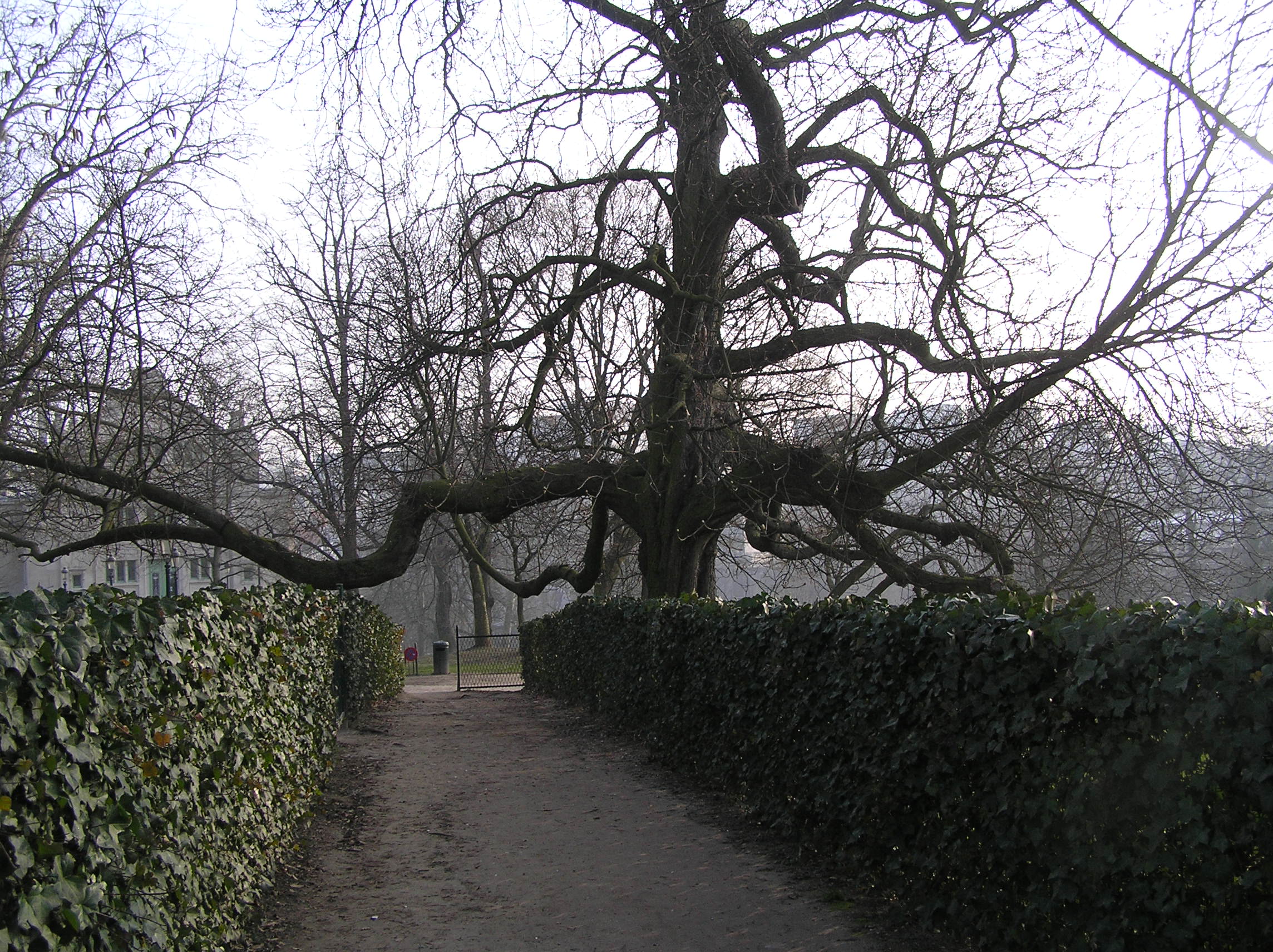 欧洲议会周边区域步行体验相关区域丨比利时-57