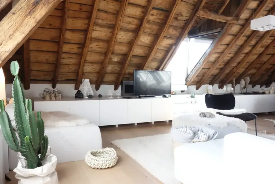 比利时 230㎡时尚波西米亚风屋顶阁楼设计-8