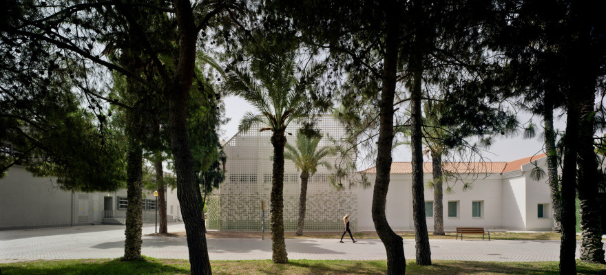 阿利坎特大学自然收藏品博物馆-21